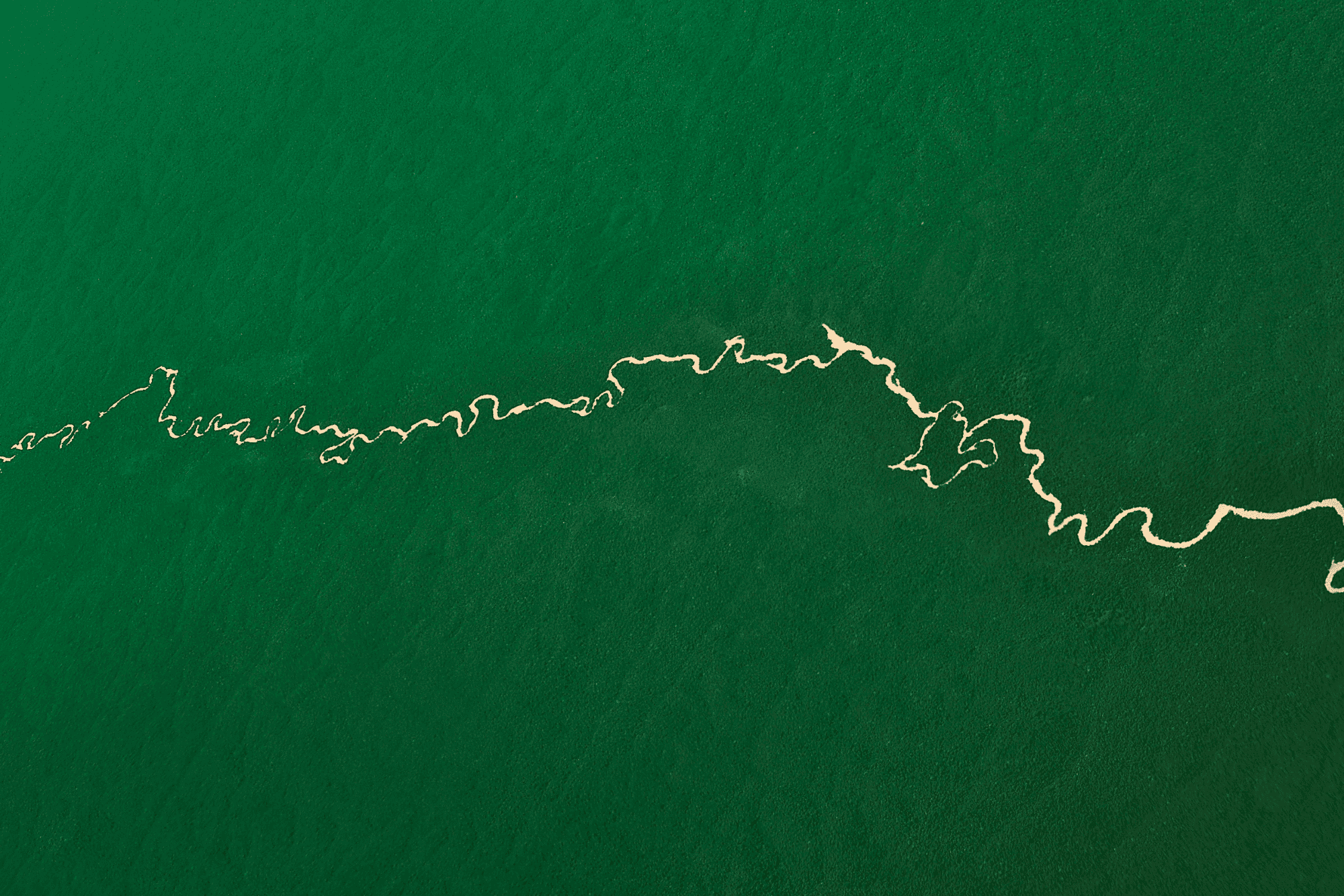 Amazon Rainforest From The Air